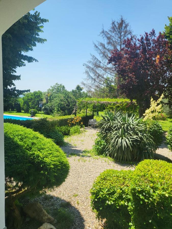 Terre Etrusche Guest House-terme -3 Minuti Da Centro Bed & Breakfast Viterbo